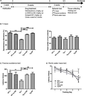 Effects of a Dehydroevodiamine-Derivative on Synaptic Destabilization and Memory Impairment in the 5xFAD, Alzheimer's Disease Mouse Model